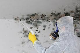  Horn Lake, MS Mold Removal Pros